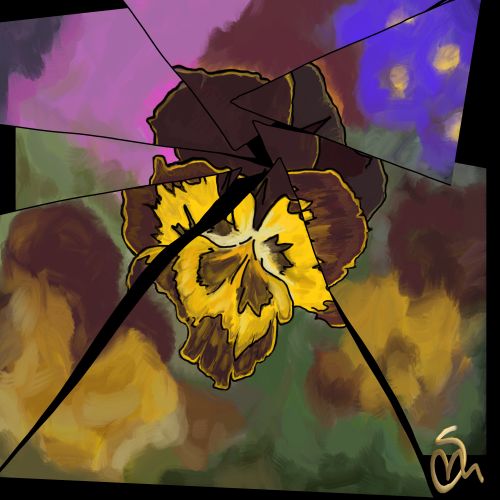 fractured_pansies